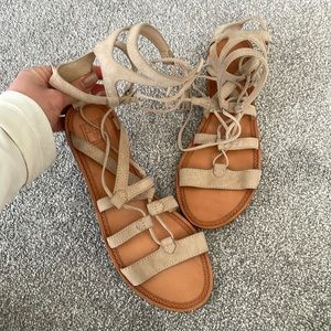 Brand new Frye Ruth Gladiator sandal